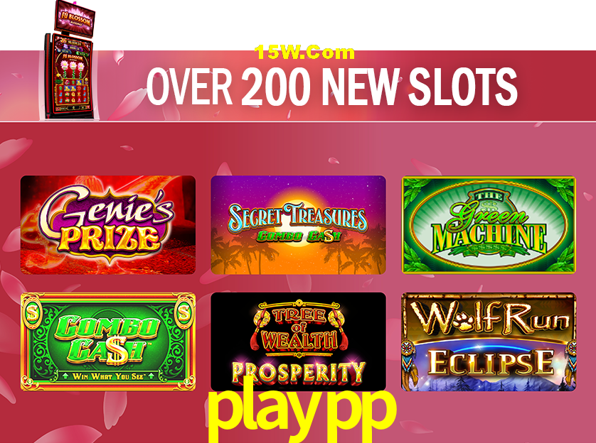 Live Casino playpp